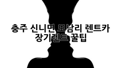 충주 신니면 모남리 렌트카 장기렌트 꿀팁!